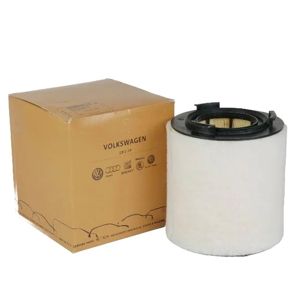 Filtru aer OE VOLKSWAGEN 6R0129620A [1]