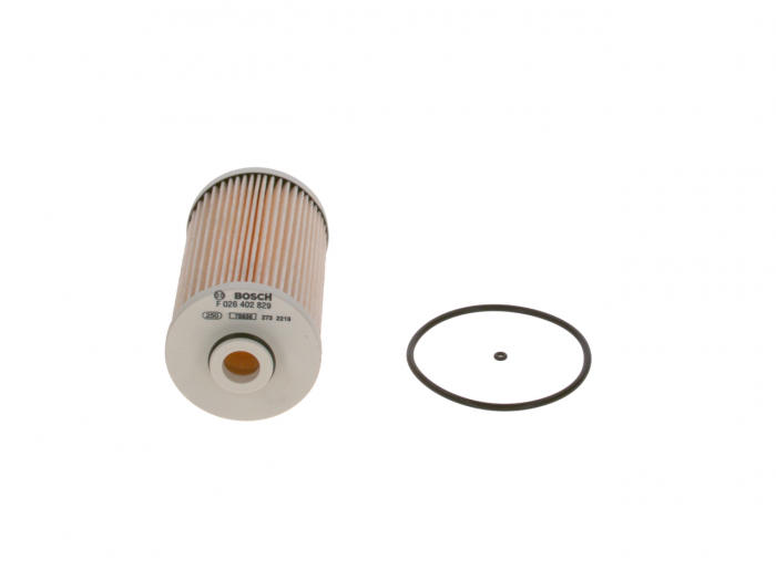Filtru Combustibil BOSCH F026402829 [1]