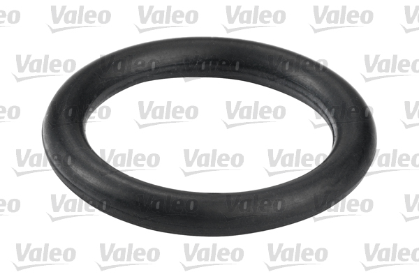 Filtru combustibil VALEO 587555 [3]