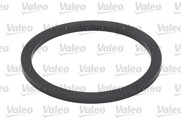 Filtru combustibil VALEO 587916 [4]