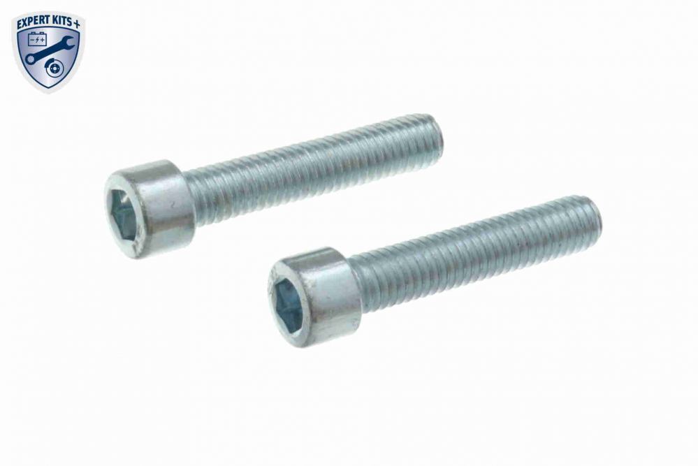 Filtru hidraulic ambreiaj haldex VAICO V10-5000 [10]