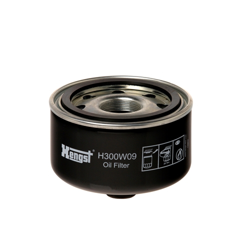 Filtru ulei HENGST H300W09 [1]