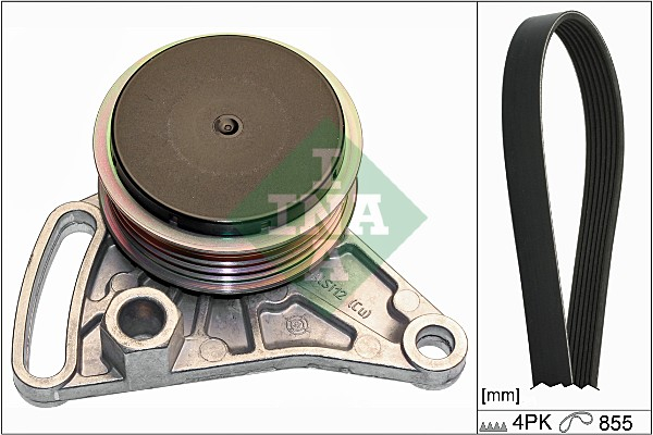 Kit transmisie INA 529009910 [1]