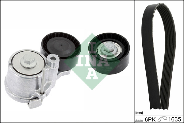 Kit transmisie INA 529031110 [1]
