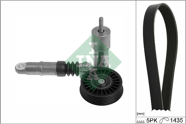 Kit transmisie INA 529042510 [1]
