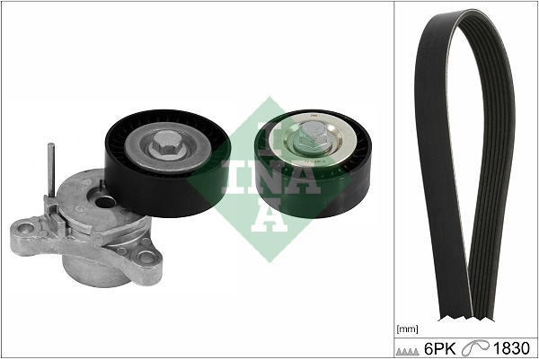 Kit transmisie INA 529044810 [1]