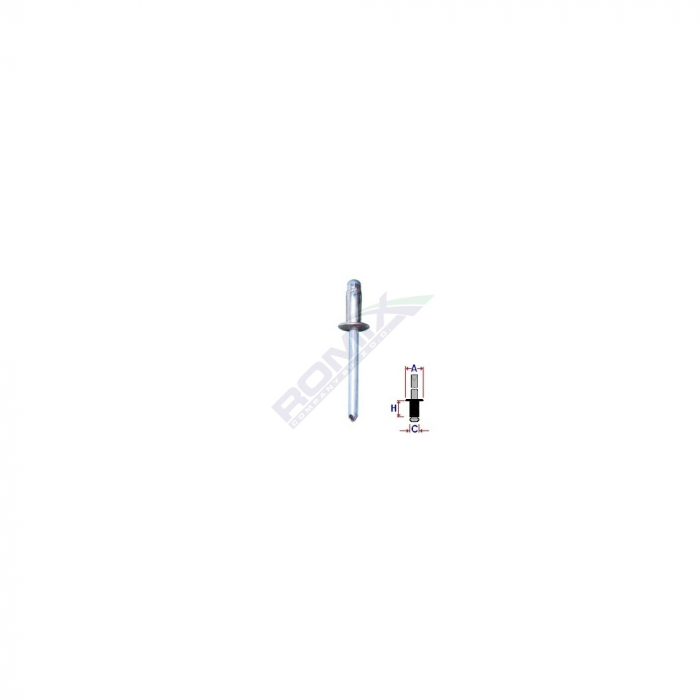 Popnit Zincat Fiat Renault Ford 4.8Mm Set 10 Buc [2]