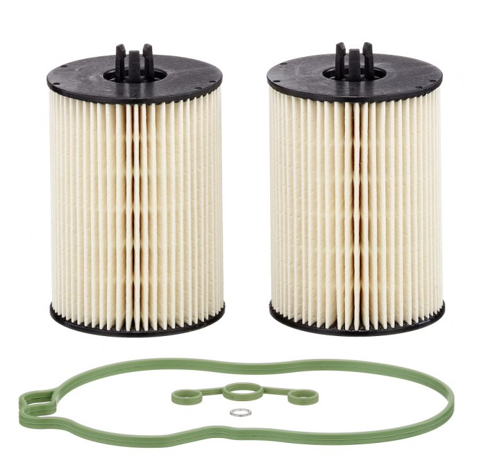 Set Filtre Combustibil Mann-Filter PU821x-2 [2]