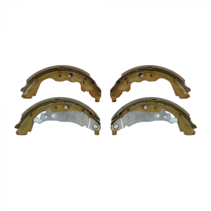 Set Saboti Frana Log. Sistem Franare Trw D: 203mm [5]
