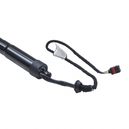 Amortizor portbagaj ELECTRIC ASAM 100174 [2]
