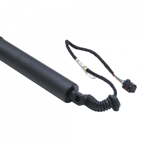 Amortizor portbagaj ELECTRIC ASAM 100180 [1]