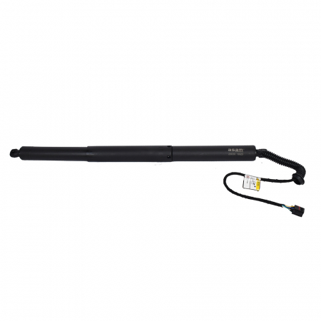 Piese auto - Amortizor portbagaj ELECTRIC ASAM 100179