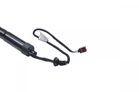 Piese auto - Amortizor portbagaj ELECTRIC ASAM 100174