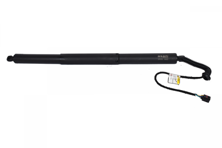 Amortizor portbagaj ELECTRIC ASAM 100179 [1]