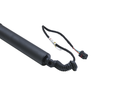 Amortizor portbagaj ELECTRIC ASAM 100180 [3]