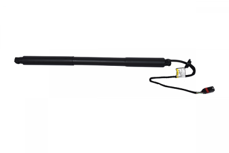 Piese auto - Amortizor portbagaj ELECTRIC DR. ASAM 100168