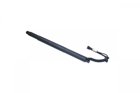 Piese auto - Amortizor portbagaj ELECTRIC DR. ASAM 100182