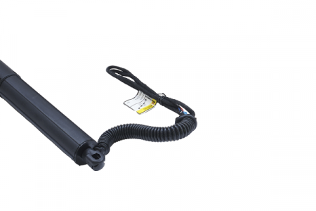 Amortizor portbagaj ELECTRIC DR. ASAM 100166 [1]