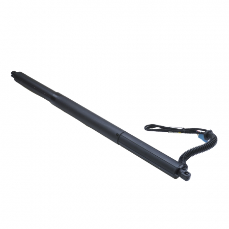 Amortizor portbagaj ELECTRIC DR. ASAM 100166 [3]