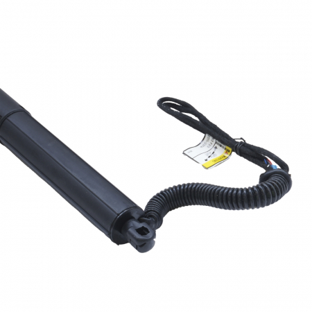 Amortizor portbagaj ELECTRIC DR. ASAM 100166 [2]