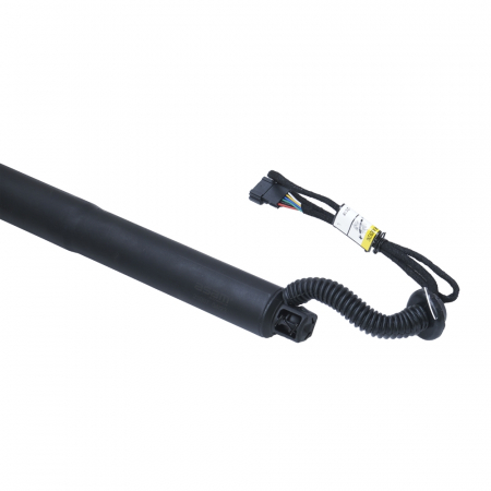 Amortizor portbagaj ELECTRIC STG. ASAM 100171 [1]