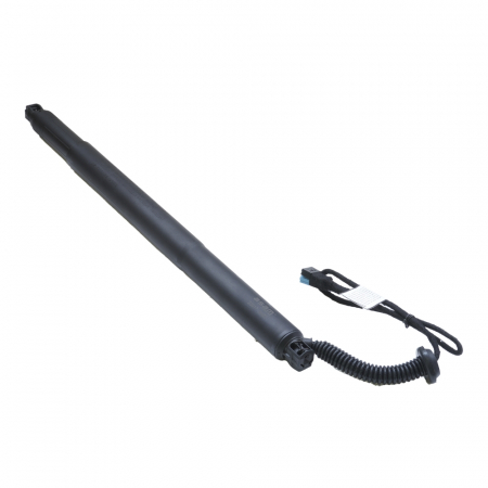 Piese auto - Amortizor portbagaj ELECTRIC STG. ASAM 100181