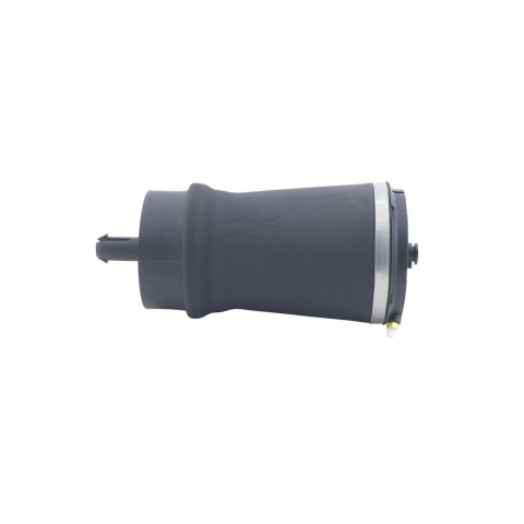 Arcuri - Arc pneumatic spate ASAM 128158