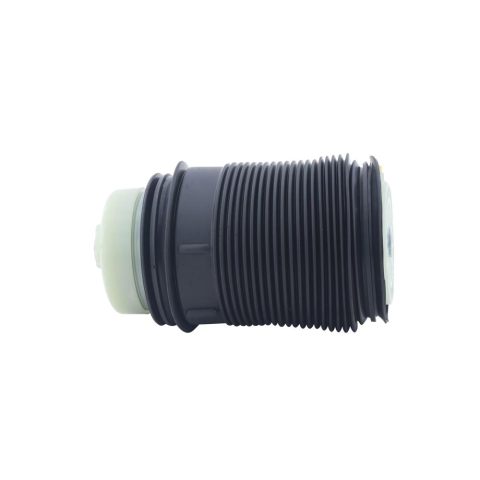 Arcuri - Arc pneumatic spate stanga ASAM 128129