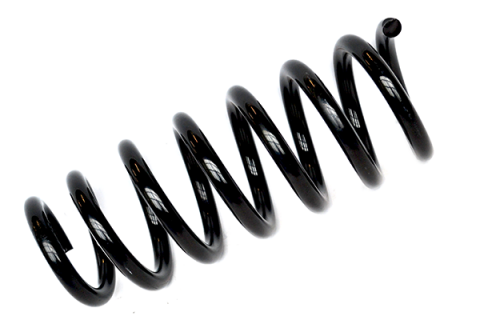 Arc suspensie ASAM 75439 [1]