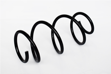 Arcuri - Arc suspensie fata ASAM 73810