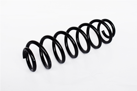 Arcuri - Arc suspensie spate ASAM 73731