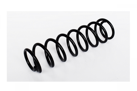 Arcuri - Arc suspensie spate ASAM 73754