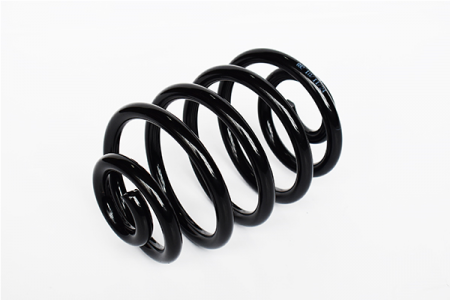 Arcuri - Arc suspensie spate ASAM 73798