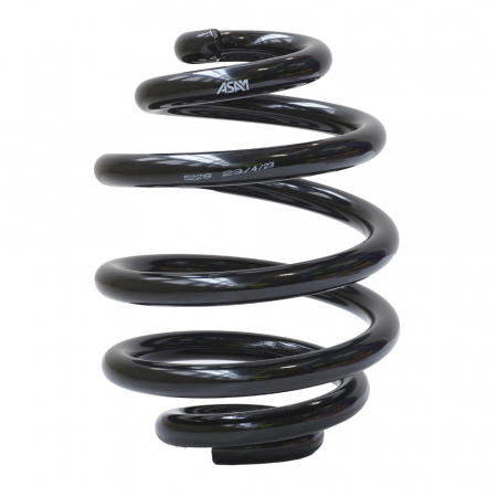 Piese auto - Arc suspensie spate ASAM 05641