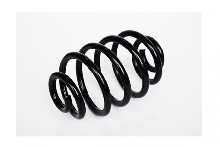 Arcuri - Arc suspensie spate ASAM 73795