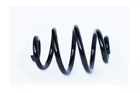 Arcuri - Arc suspensie spate ASAM 73791