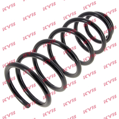Arc suspensie spate KYB RA6213 [1]