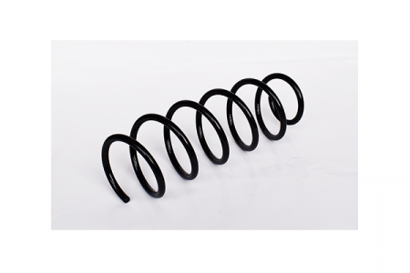 Arcuri - Arc suspensie spate ASAM 73760