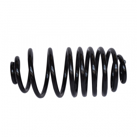 Arcuri - Arc suspensie spate ASAM 05589