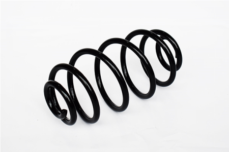 Arcuri - Arc suspensie spate ASAM 73796