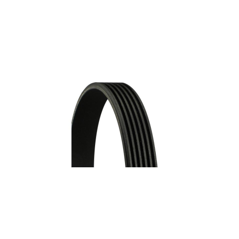 DISTRIBUTIE - Conti -curea transmisie cu caneluri CONTINENTAL CTAM 6PK1256