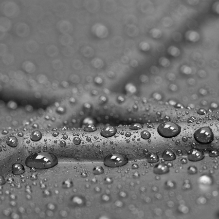 Covoras Portbagaj Universal 100X80 Cm [4]