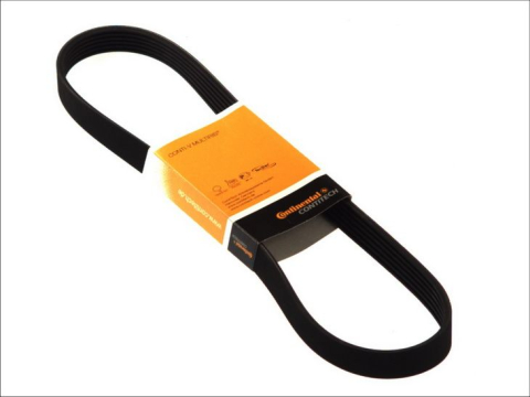Piese auto - Curea transmisie cu caneluri CONTITECH 6PK970