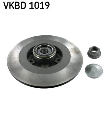 Discuri frana - Disc frana spate SKF VKBD1019