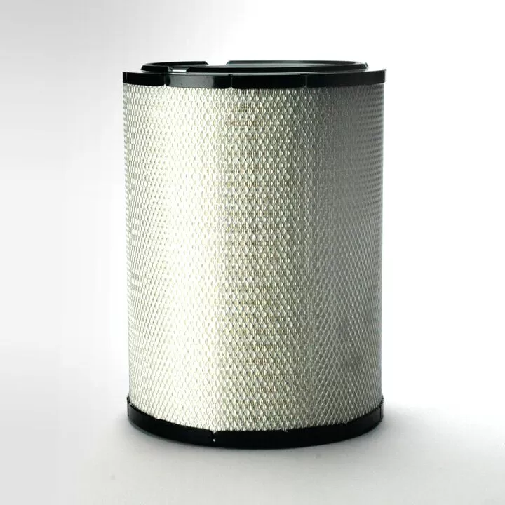 Filtre aer - Filtru Aer Donaldson P781398