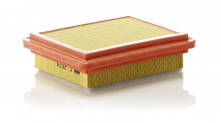 FILTRARE - Filtru Aer Mann-Filter C2074