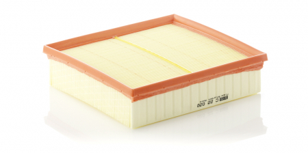 Conex - Filtru Aer Mann-Filter C22020