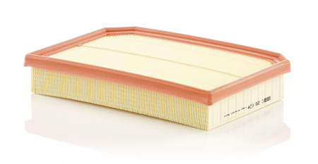 FILTRARE - Filtru Aer Mann-Filter C28034