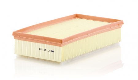 Conex - Filtru Aer Mann-Filter C29110