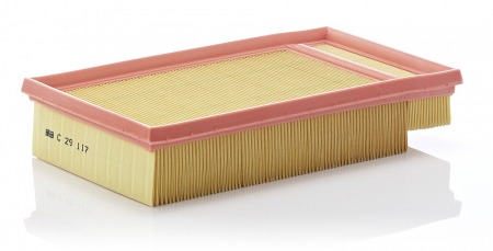 Filtre aer - Filtru Aer Mann-Filter C29117